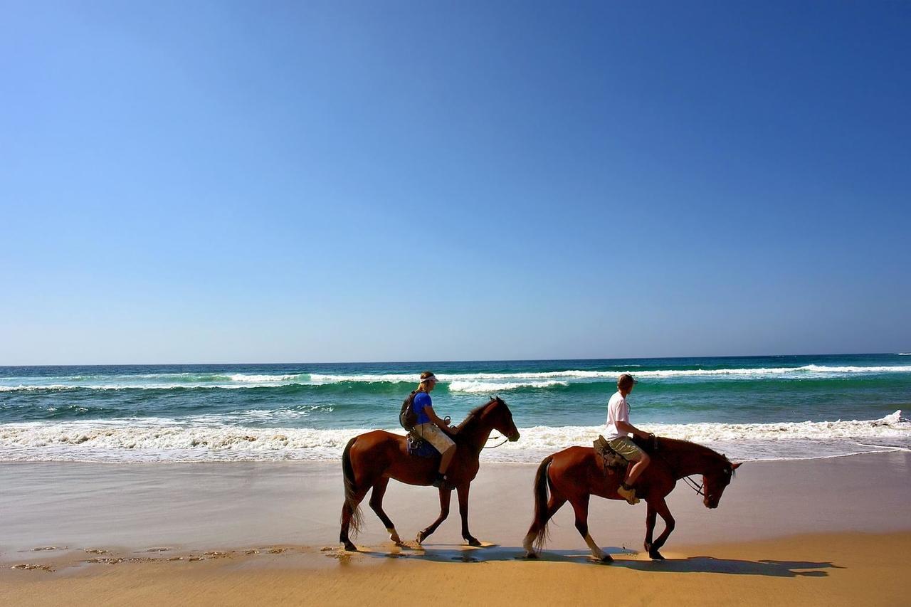 Hotel Oasis & Surf Camp Санта Каталина Екстериор снимка