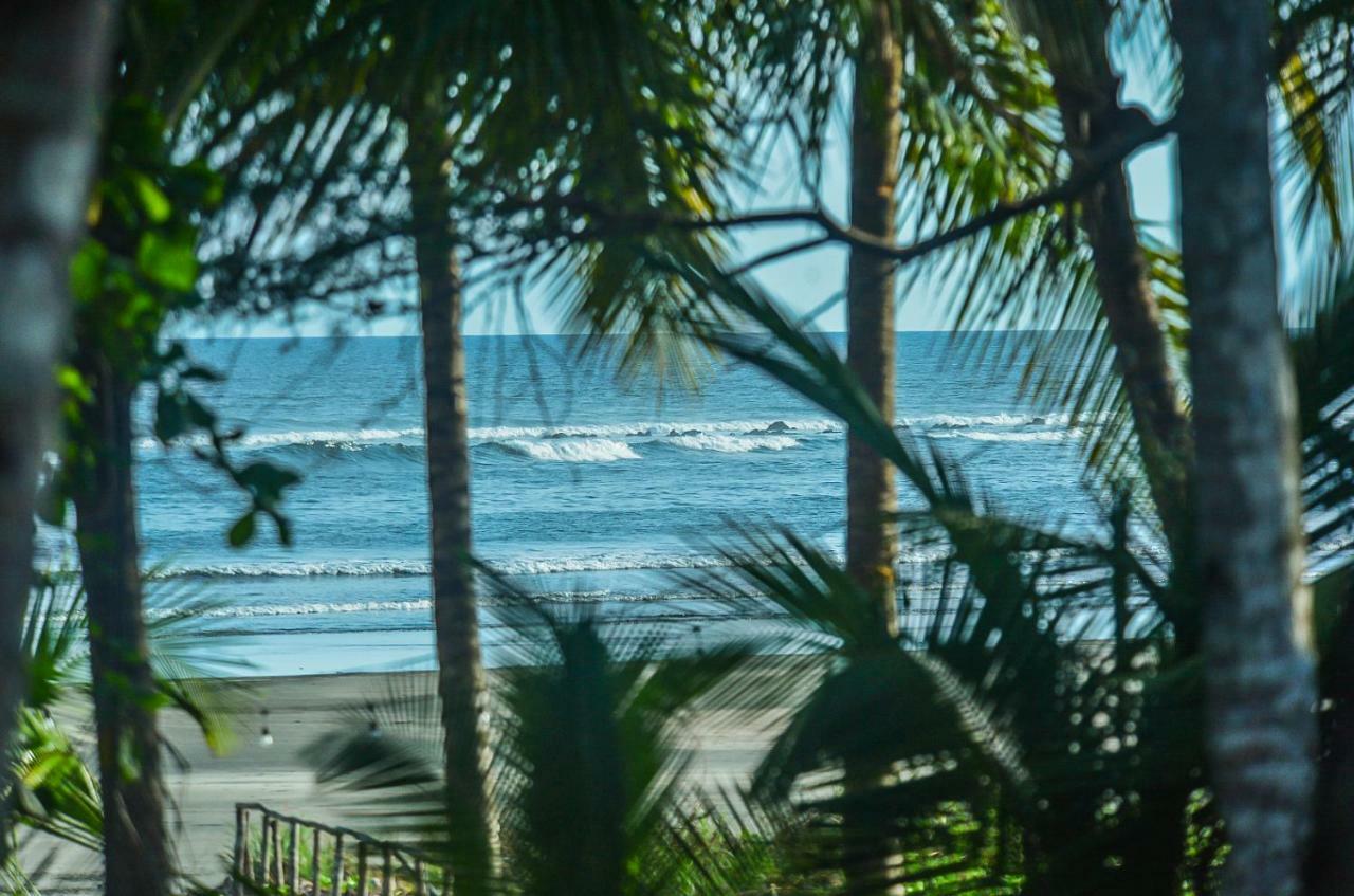 Hotel Oasis & Surf Camp Санта Каталина Екстериор снимка